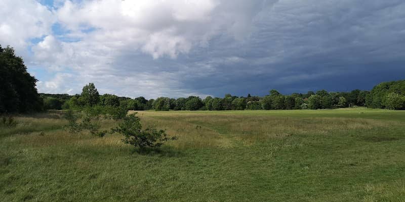 Hillfield Nature Reserve - Image 2