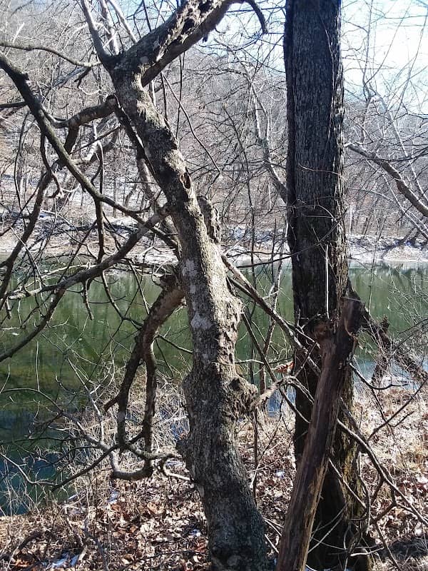 State Parks - Image 1