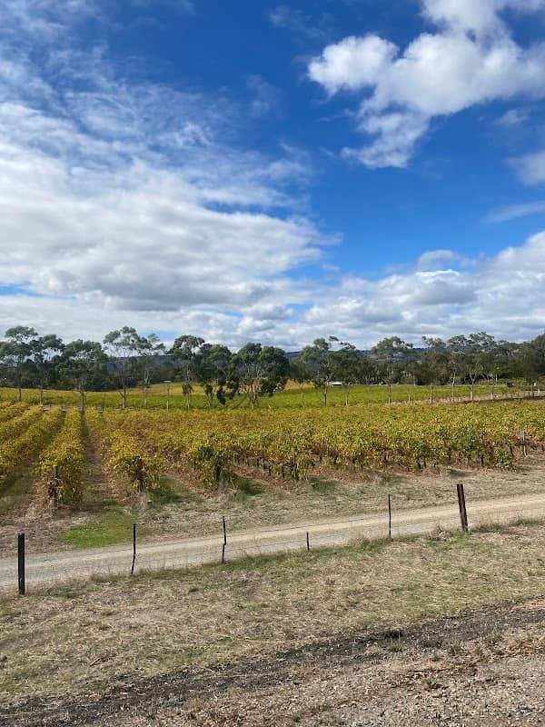 Shiraz Trail - Image 1