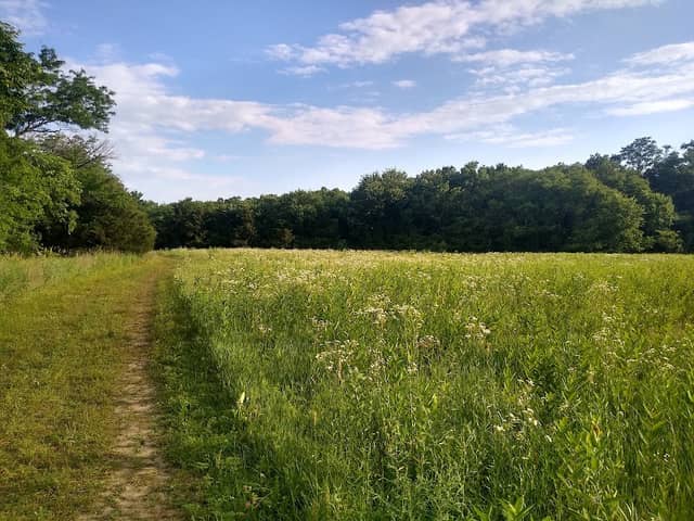 Sesquicentennial Point - Image 2