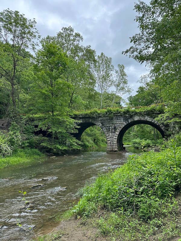 Hellbender Preserve - Image 1