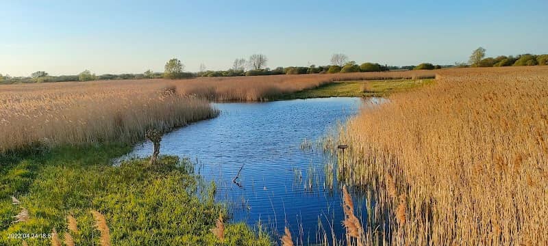 Great Fen - Image 2