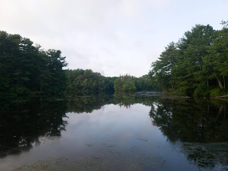 Pine Lake Park - Image 2