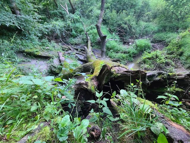 Hickory Hill Park East Entrance - Image 1