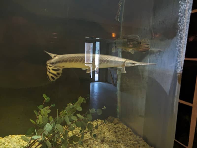 Headquarters Unit National Fish Hatchery - Image 1