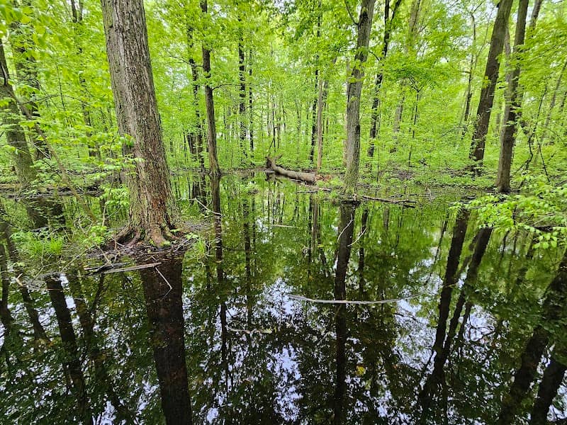 Kopegaron Woods Conservation Area - Image 1