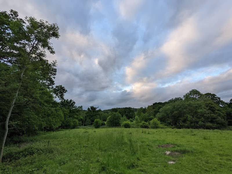 Barnett's Wood - Image 1