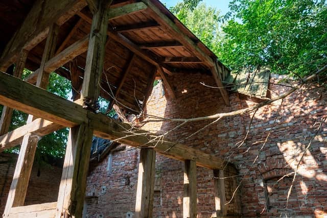 Ruiny Pałacu - Image 1