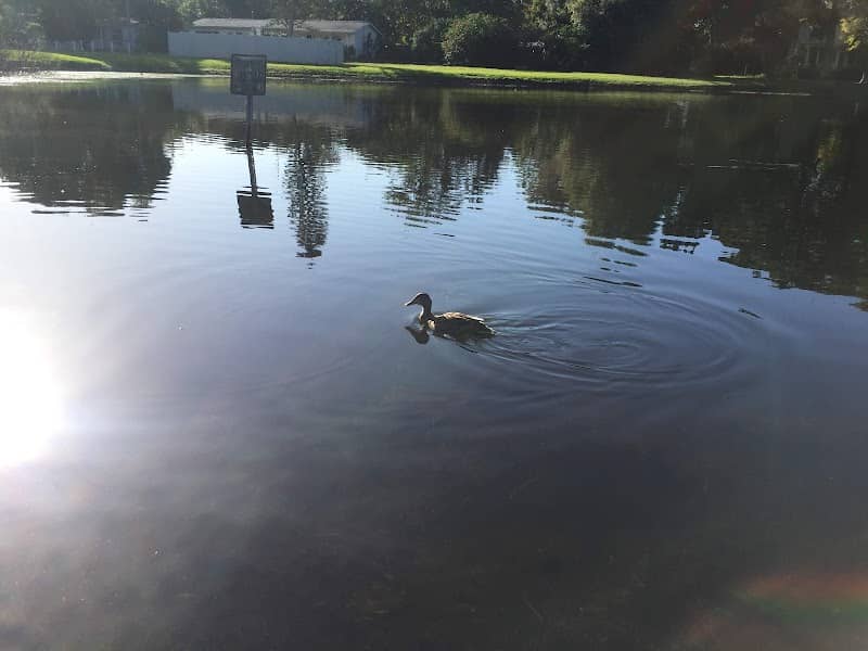 Lake Villa Park - Image 1