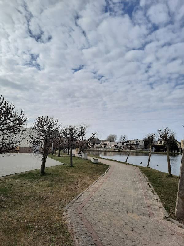 Staw Dębogórze - Image 2