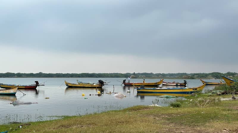 Krishna River Yedlanka - Image 1
