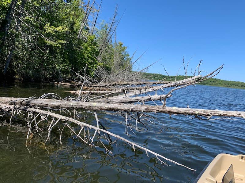 Wabikon Lake State Natural Area - Image 1