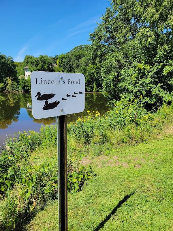 Lincoln's Pond - Image 3