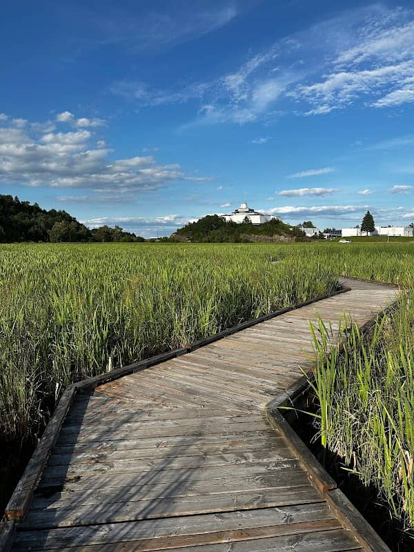 Lily Creek Boardwalk - Image 1