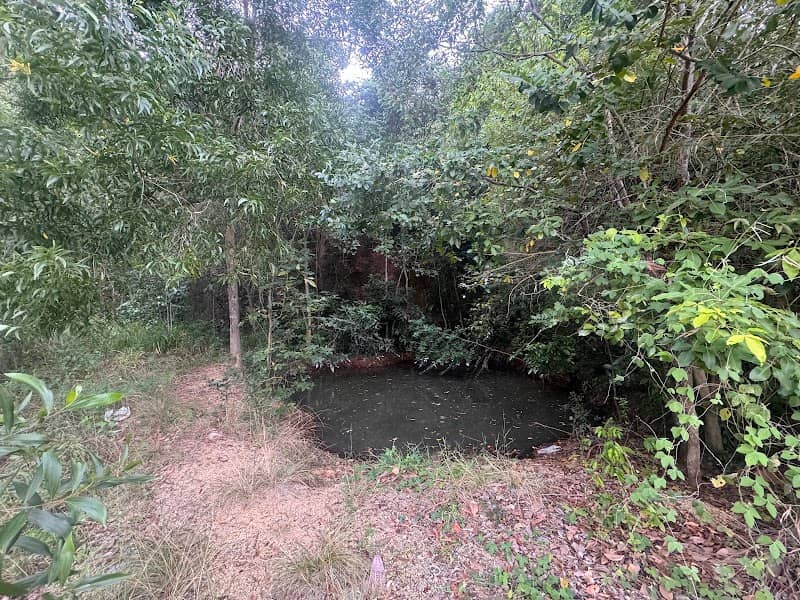 Snowy's Lagoon - Image 1