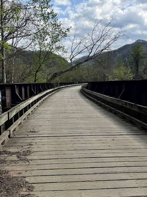 The World's Longest ATV Bridge - Image 1