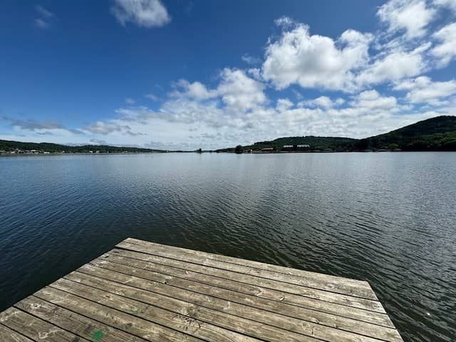 Guntersville Municipal Park Pier - Image 1