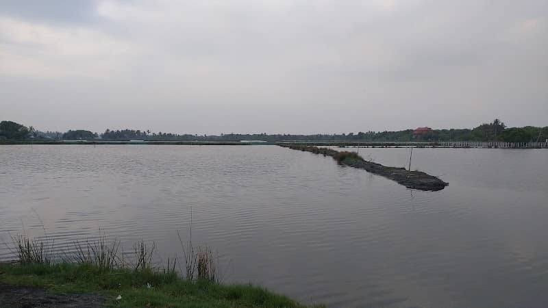 Kalathara backwater view point - Image 1