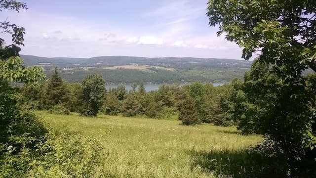 Bare Hill Unique Area - Image 1