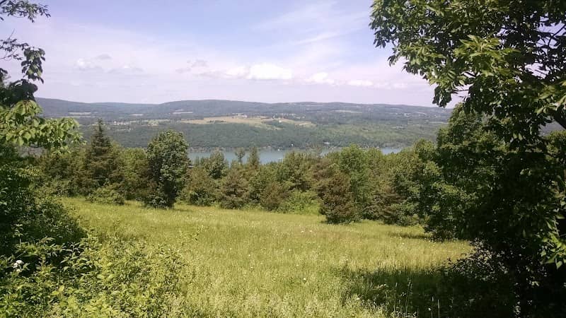 Bare Hill Unique Area - Image 1