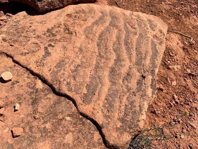 Kanab Dinosaur Tracks - Image 1