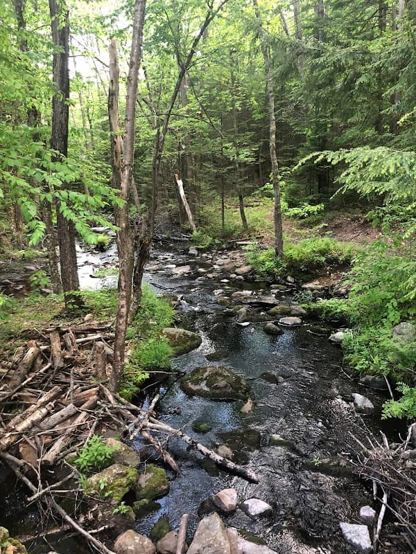 Rome Conservation Area - Image 1