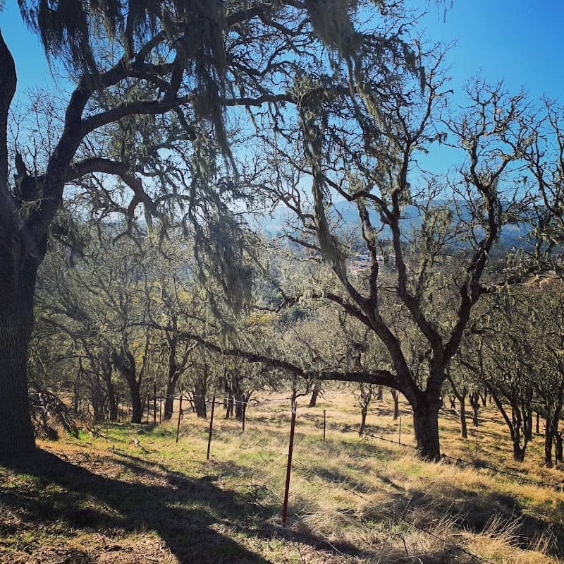 Las Lomas Nature Path - Image 1