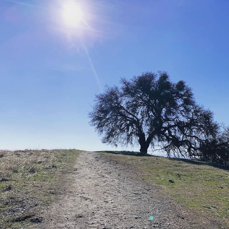 Las Lomas Nature Path - Image 2