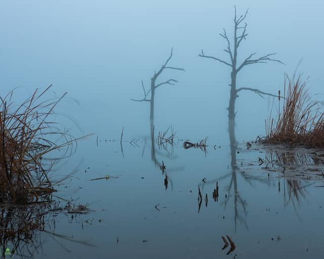 Lake Durant Park - Image 1
