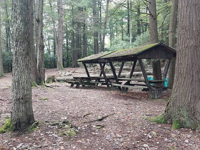 Five Mile Point Group Campground - Image 2