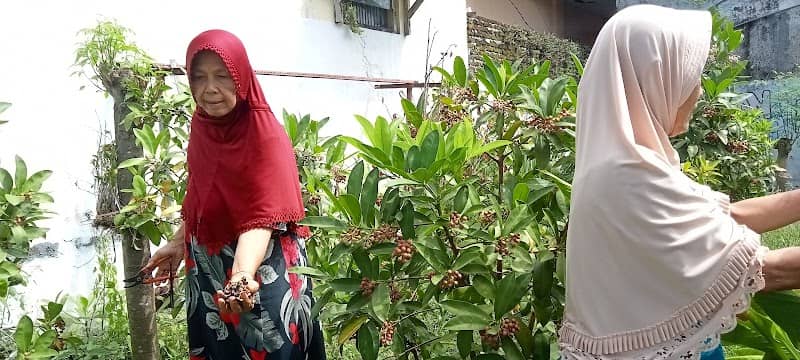 Kampung Lempeni - Image 1
