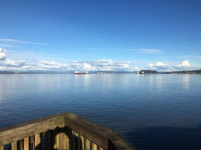 Astoria Riverwalk Viewpoint - Image 2