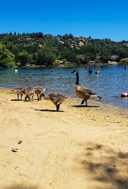 Little Beach Park (Gated) - Image 1
