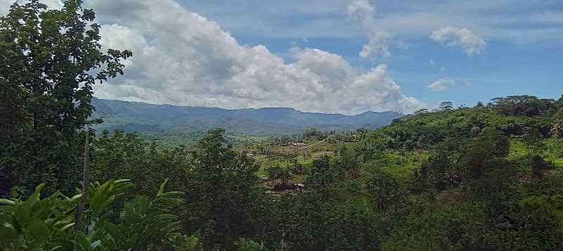 Mr.alos_adventure - Image 2