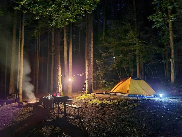 Cosby Campground - Image 1