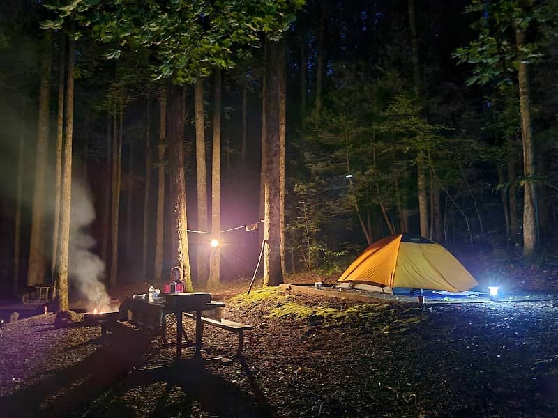 Cosby Campground - Image 1