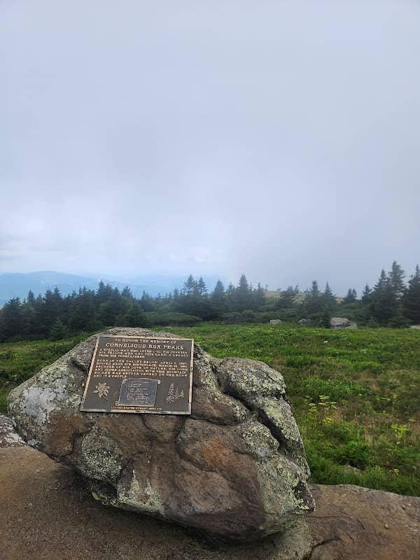 Grassy Ridge Mountain - Image 3