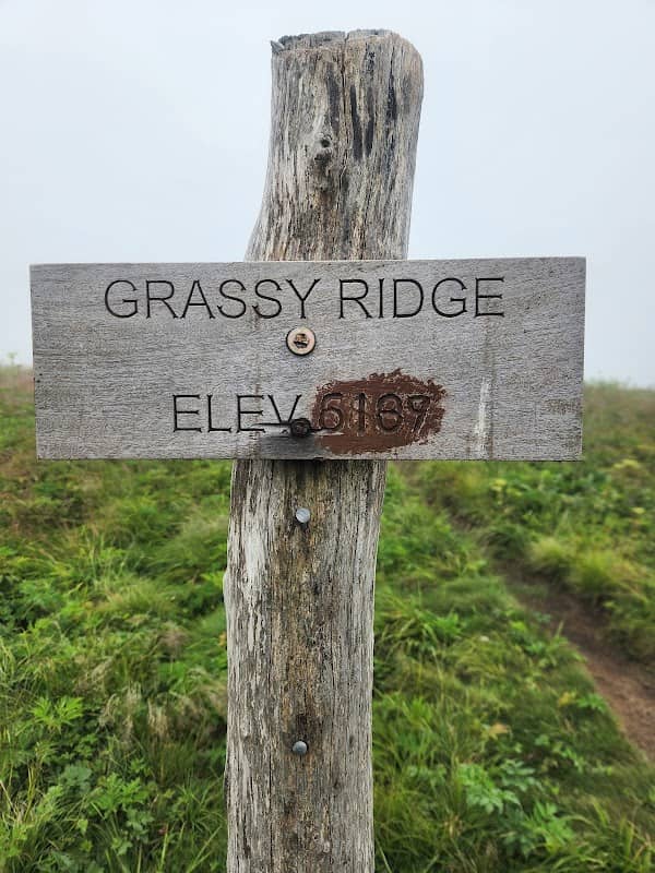 Grassy Ridge Mountain - Image 2
