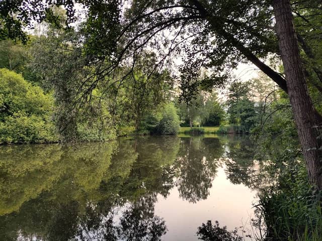 Regenrückhaltebecken Berenbostel - Image 1