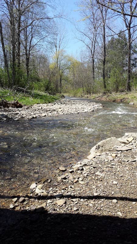 Frewsburg Town Park - Image 1