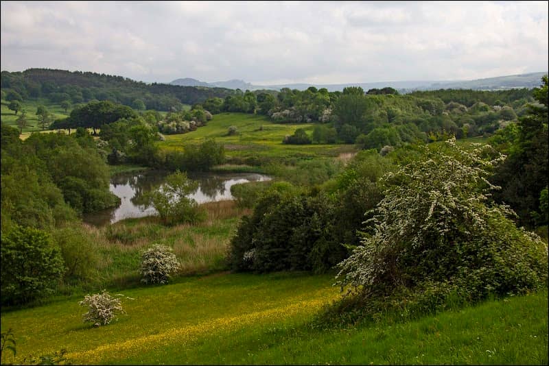 Brough Park Fields Nature Reserve - Image 1