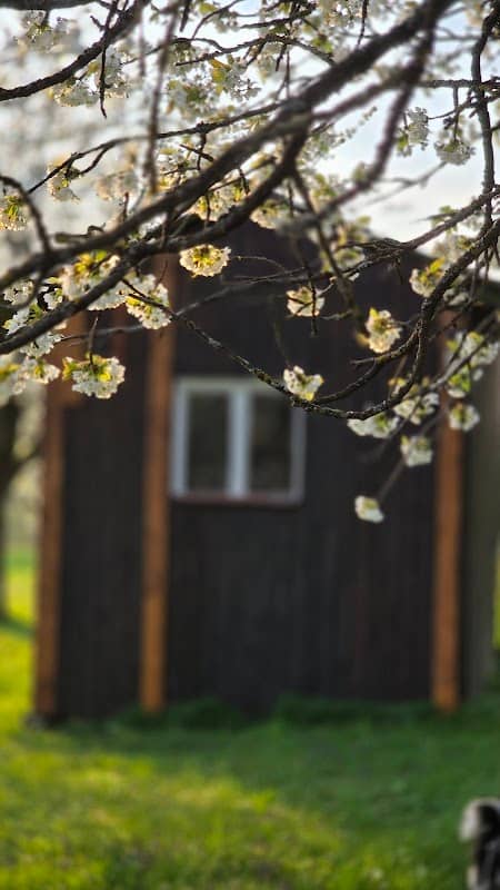 Obstgarten - Image 1