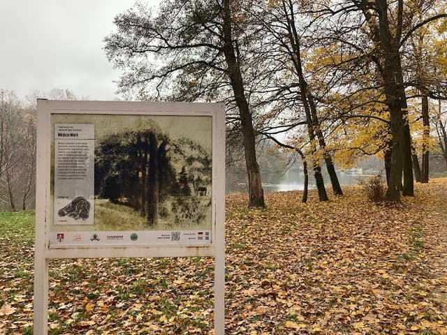 Dom dla Kaczek - Image 2