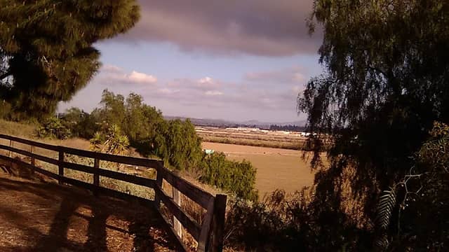 Riverview Linear Park - Image 1