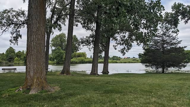 Sycamore Park - Image 3