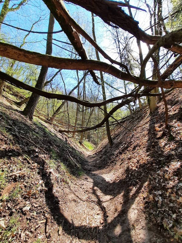Wolfsschlucht - Image 1