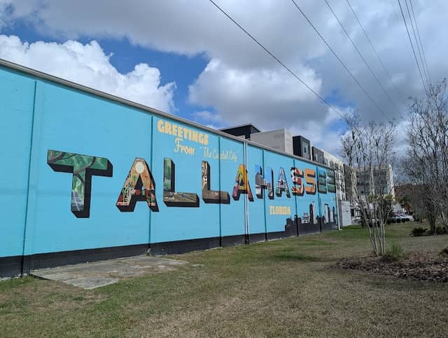 Greetings from Tallahassee mural - Image 1