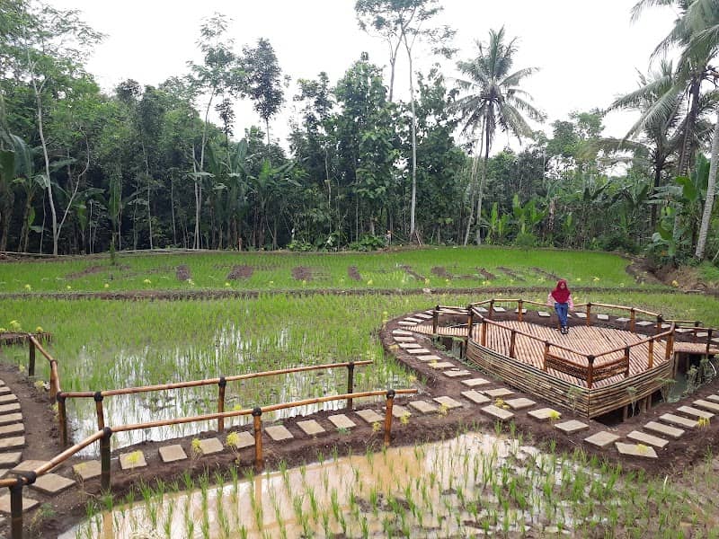 Wisata Argopuro Garden - Image 1