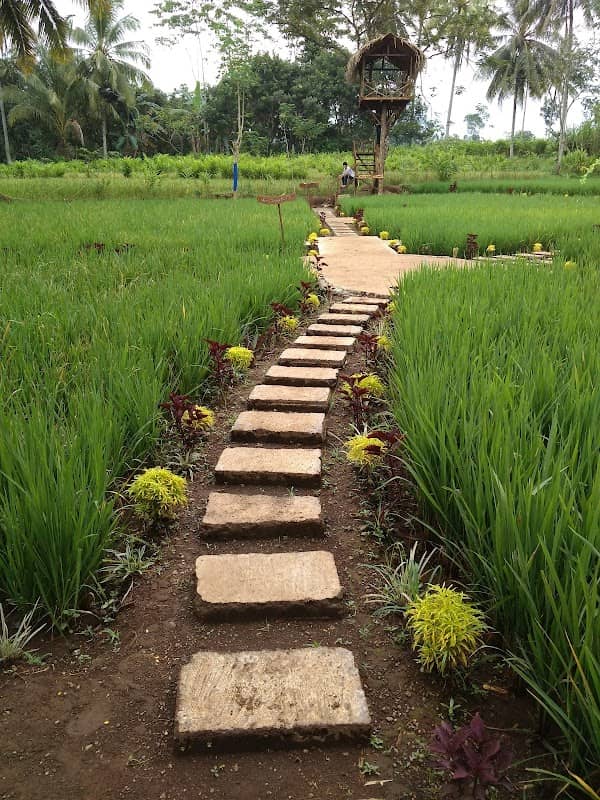Wisata Argopuro Garden - Image 2