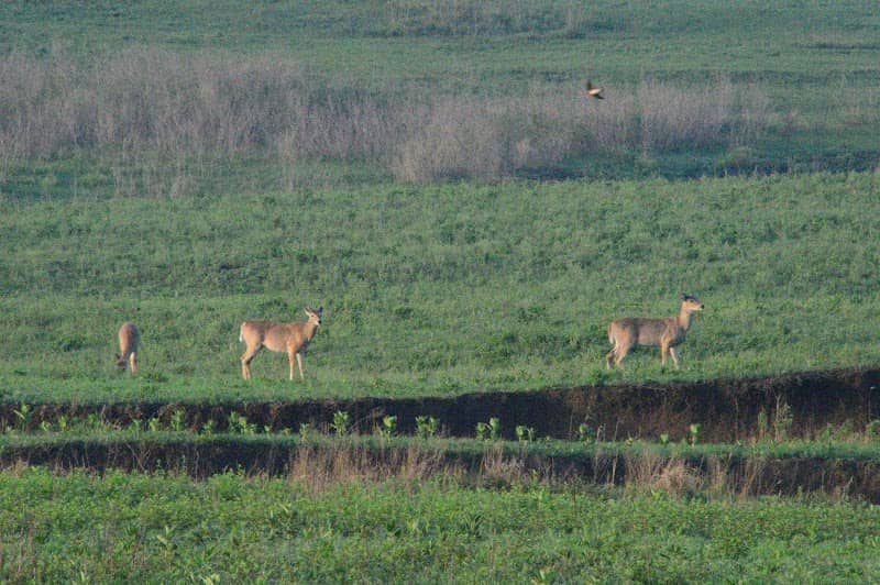 Scenic lookout - Image 2